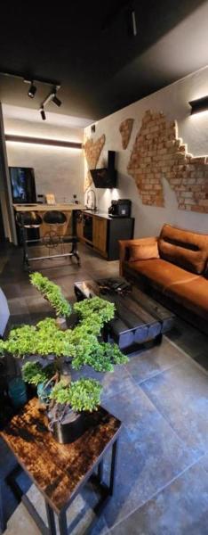 Luxury Old Town Apartments , gym, hammock free parking!